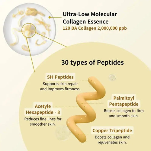 Collagen Silk Peptide Anti-Aging Ampoule